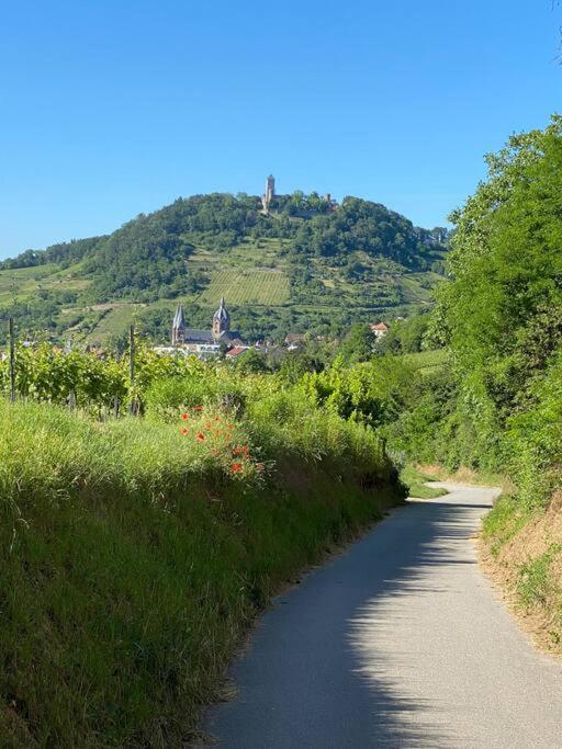 Acapella Suite Adagio 54Qm, Direkt Am Weinberg, Altstadt, Netflix Inklusive Heppenheim  エクステリア 写真