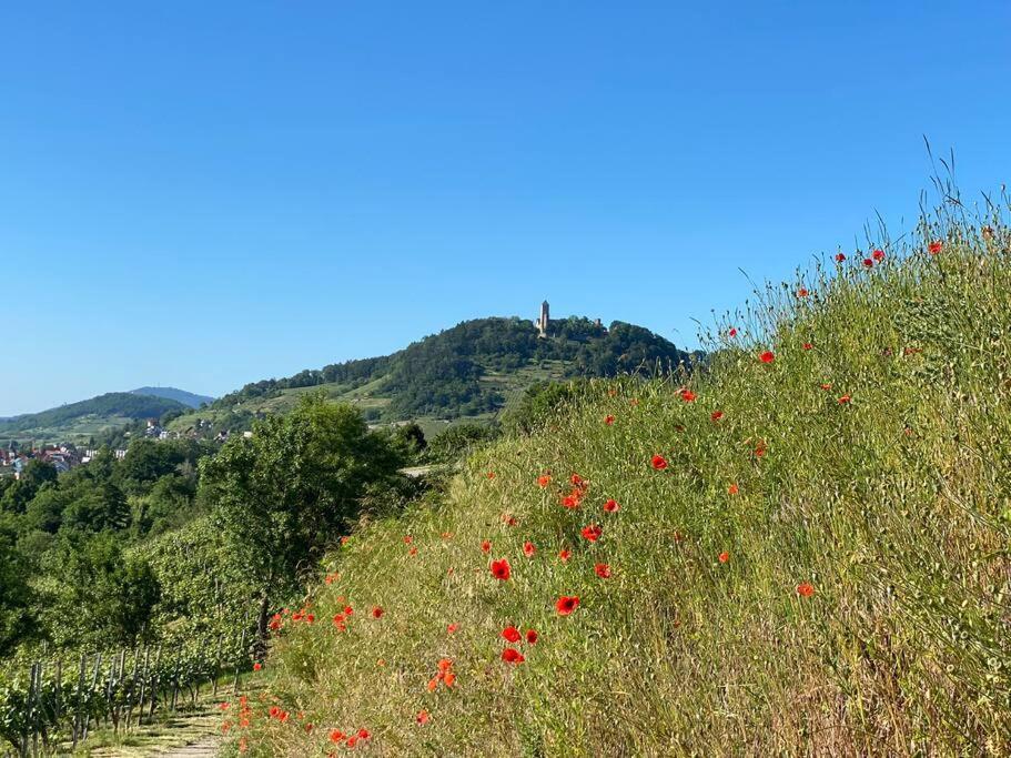 Acapella Suite Adagio 54Qm, Direkt Am Weinberg, Altstadt, Netflix Inklusive Heppenheim  エクステリア 写真